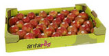 cagette pommes antarès