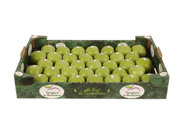 cagette pomme gala