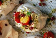 Pavlovas horizontal