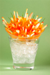 Salade carottes Antarès