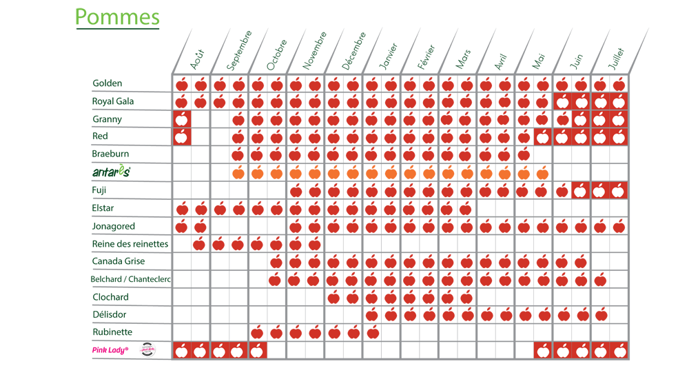 Calendrier Pommes