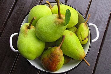 Poire un peu d'histoire
