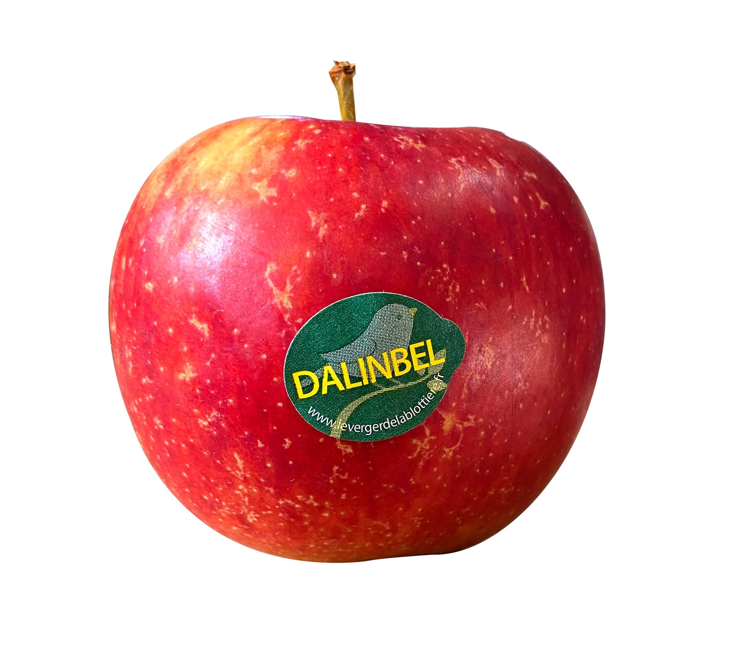 POMME DALINBEL