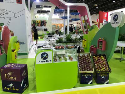 WOP Dubaï 2018