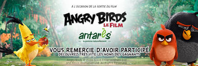 actu-angryBirds