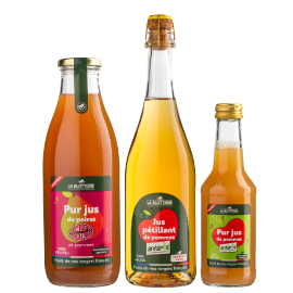 JUS POMMES POIRES