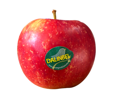 POMME DALINBEL