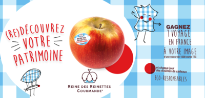 REINE DES REINETTES GOURMANDES OP 1