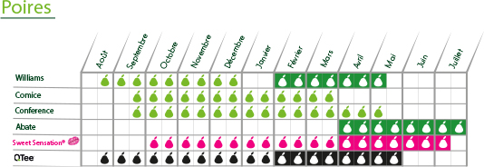 verger-blottiere-calendrier-poires