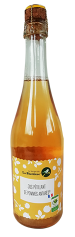 verger-blottiere-jus-petillant-75cl